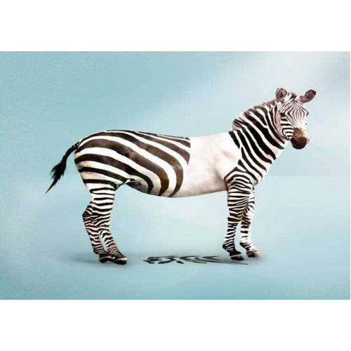 PUBLICIDAD GRAFICA PUBLICIDAD GRAFICA